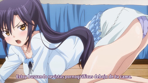 Okusama ga Seitokaichou!+!